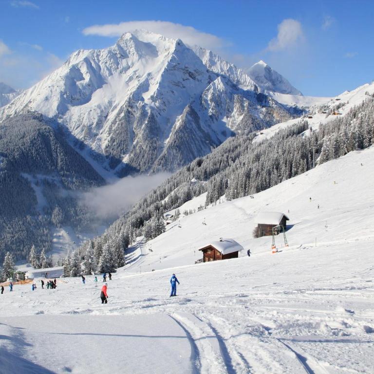 Elegant Fieschertal Alpine Chalet for 8 - Superior Chalet - 25