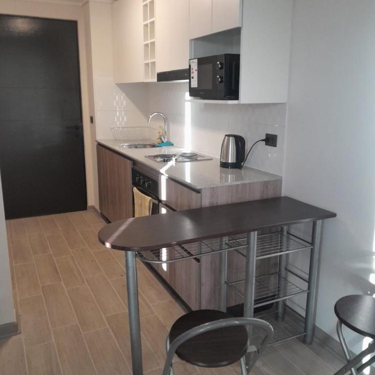 DEPARTAMENTO STUDIO CONCEPCION CENTRO 2 A 3 Personas Con Estacionamiento - Apartamento de 1 dormitorio - 20