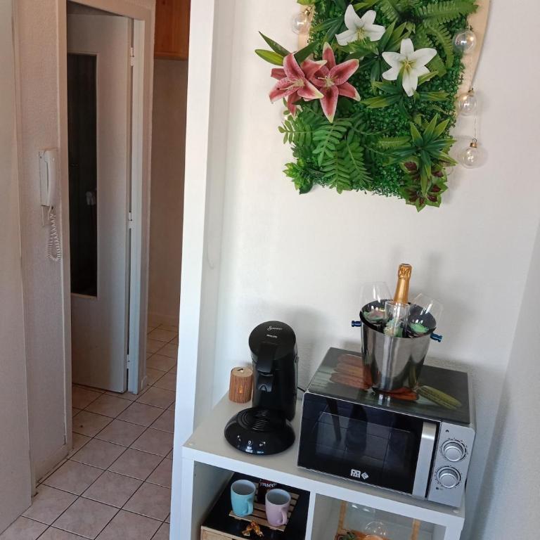 Evasion océane Lacanau Plage centre Wifi Parking - One-Bedroom Apartment - 27