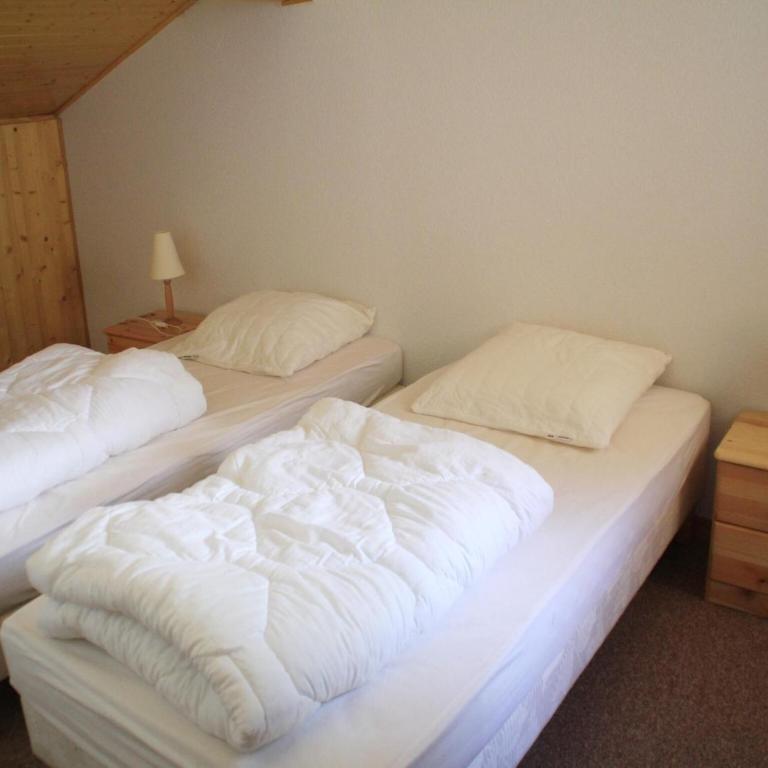 Apartment near Portes du Soleil ski area - Appartement 3 Chambres - 23