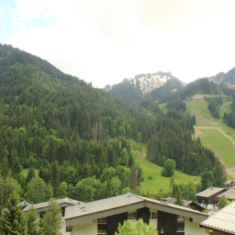 Apartment near Portes du Soleil ski area - Appartement 3 Chambres - 18
