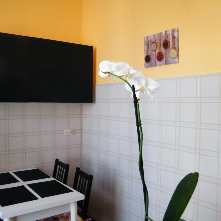Appartamento Vacanze I Provenzali - Appartement 2 Chambres - 20