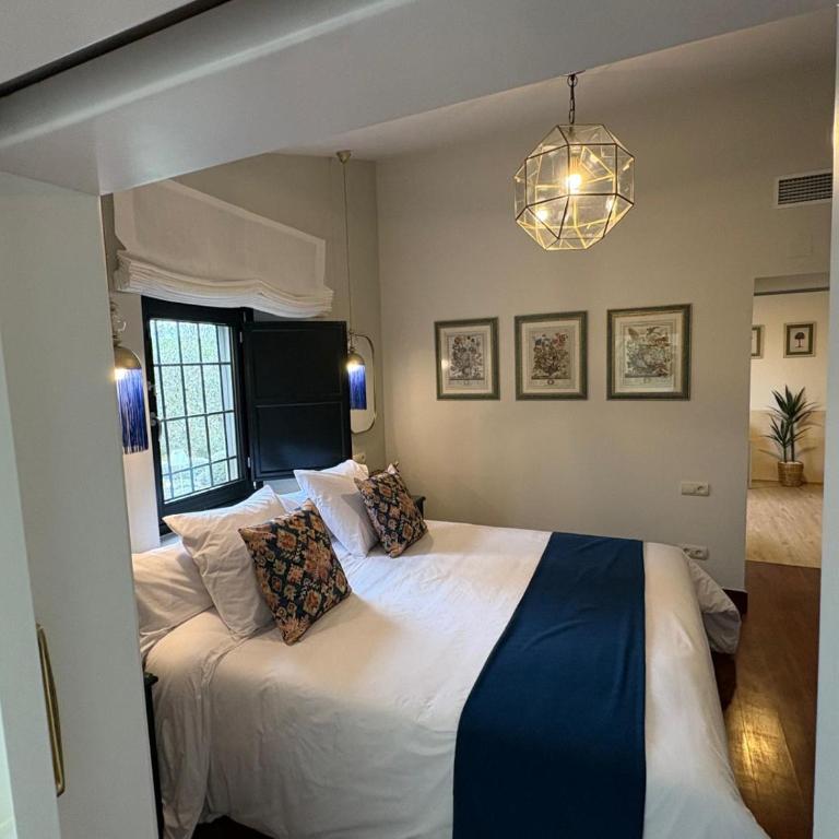 Hotel Boutique Palacio del Moral - Suite con terraza - 16