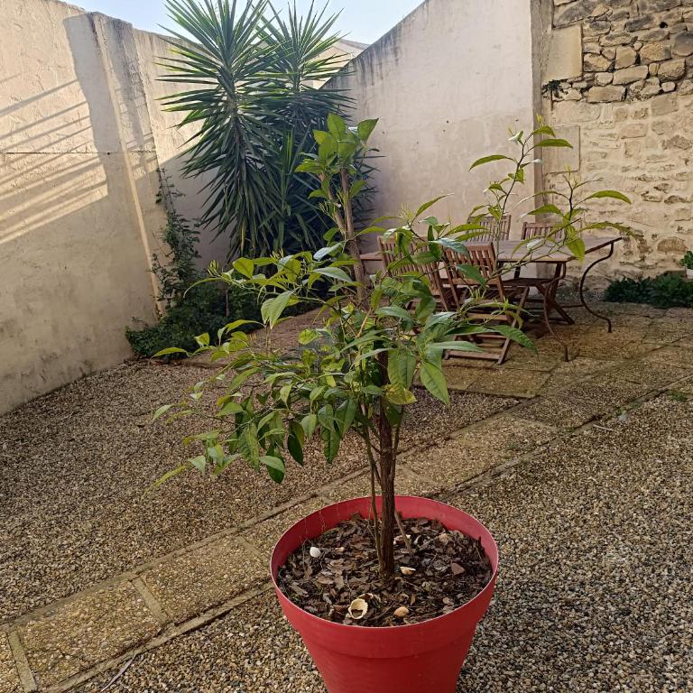 appartement villa Marie Fanny - Apartment - 28