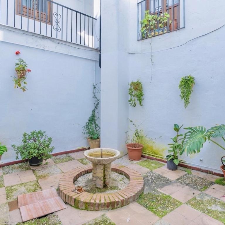 Deanes Califa Suites 5 - Apartamento de 2 dormitorios - 30