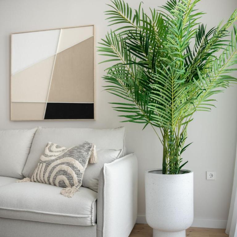 Monumental Petén by Manlia - Apartment - Disability Access - 10