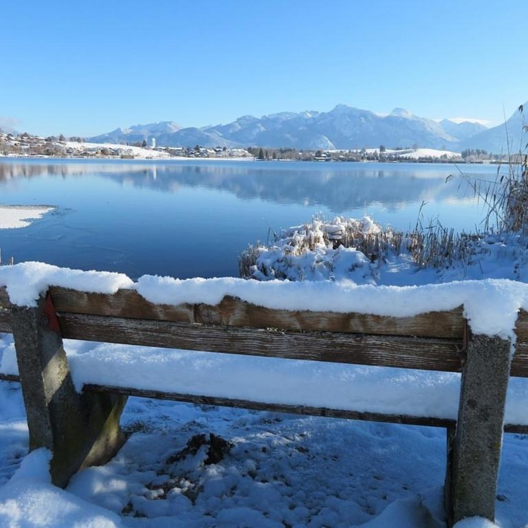 Ferienhaus Nr 40, Kategorie Komfort L, Feriendorf Hochbergle, Allgäu - Ferienhaus - 34