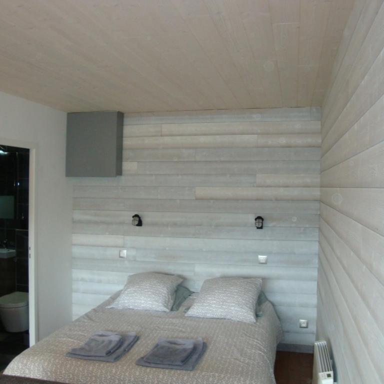 Les Epinettes Grand Studio Terrasse Loggia - Appartement 1 Chambre - 4