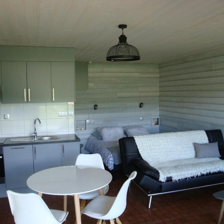 Les Epinettes Grand Studio Terrasse Loggia - Appartement 1 Chambre - 11