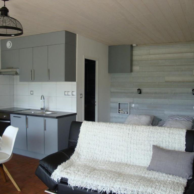 Les Epinettes Grand Studio Terrasse Loggia - Appartement 1 Chambre - 12
