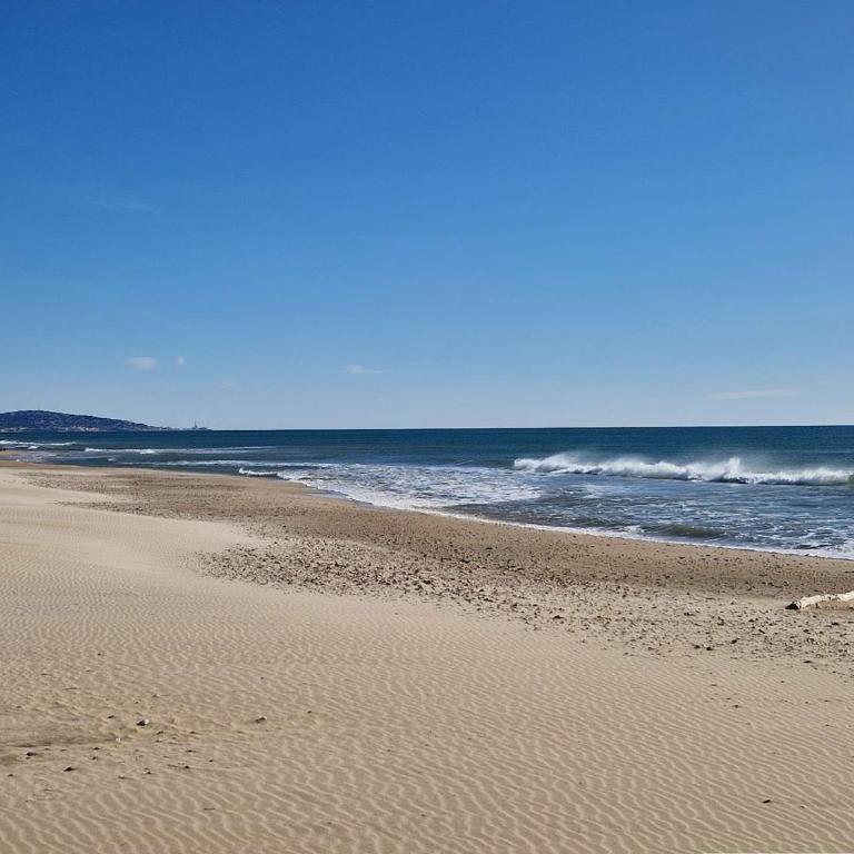 Appartement, superbe vue mer - personnes - FR-1-387-227 - Apartamento - 21