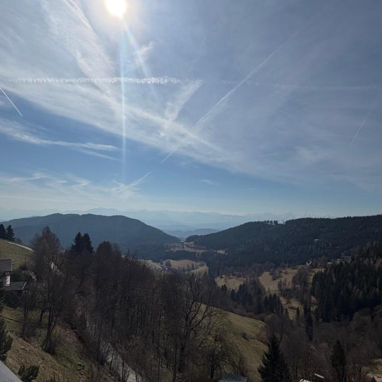 Bergidylle Simonhöhe, Kärnten - Apartment mit 1 Schlafzimmer und Balkon - 6