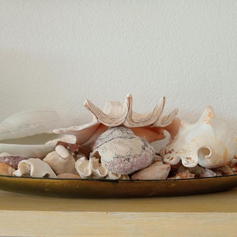 Shell in the rock - Appartamento con 2 Camere da Letto - 9