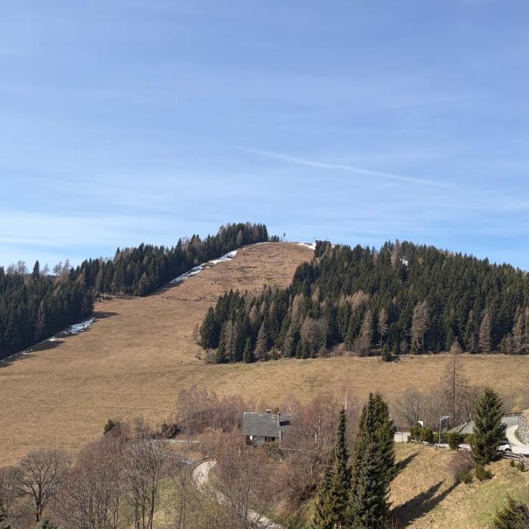 Bergidylle Simonhöhe, Kärnten - Apartment mit 1 Schlafzimmer und Balkon - 47