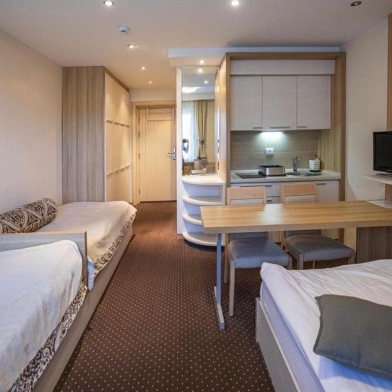 Apartments Suncani Vrhovi Kopaonik - Deluxe Studio - 1