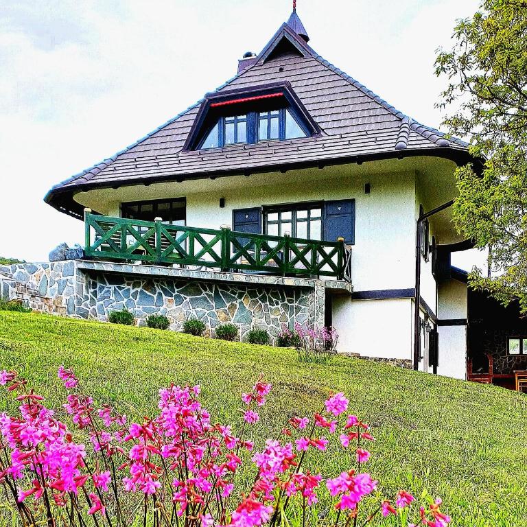Casa Mila Zlatibor - Vila - 3