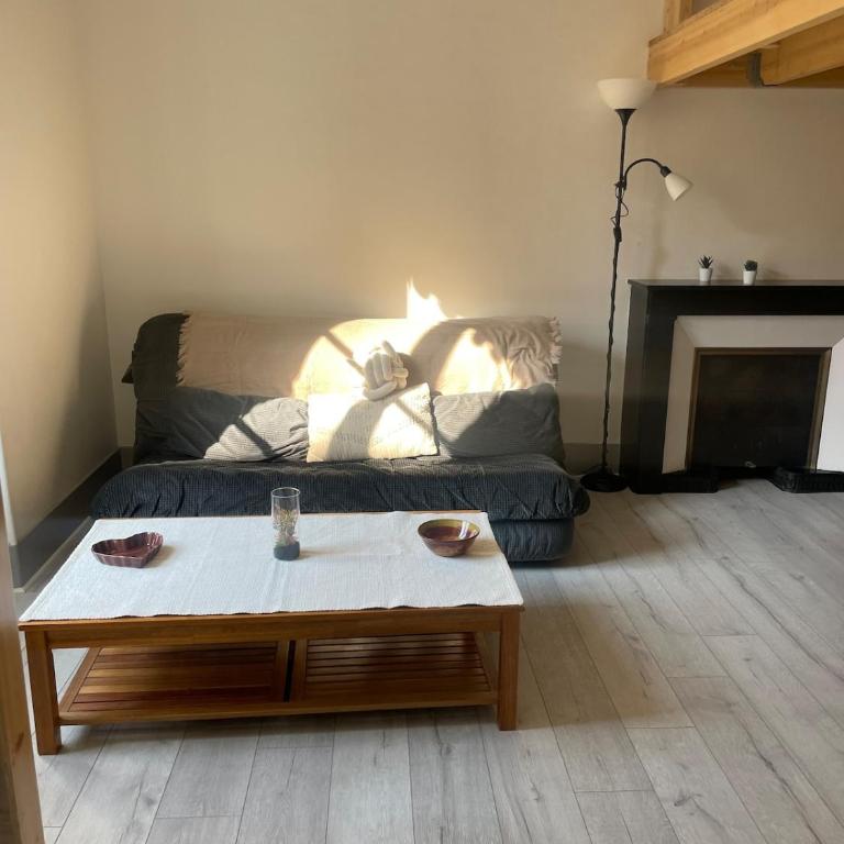 T2 Cosy mezzanine & cheminée Europole Gare IUT GEM - Two-Bedroom Apartment - 13