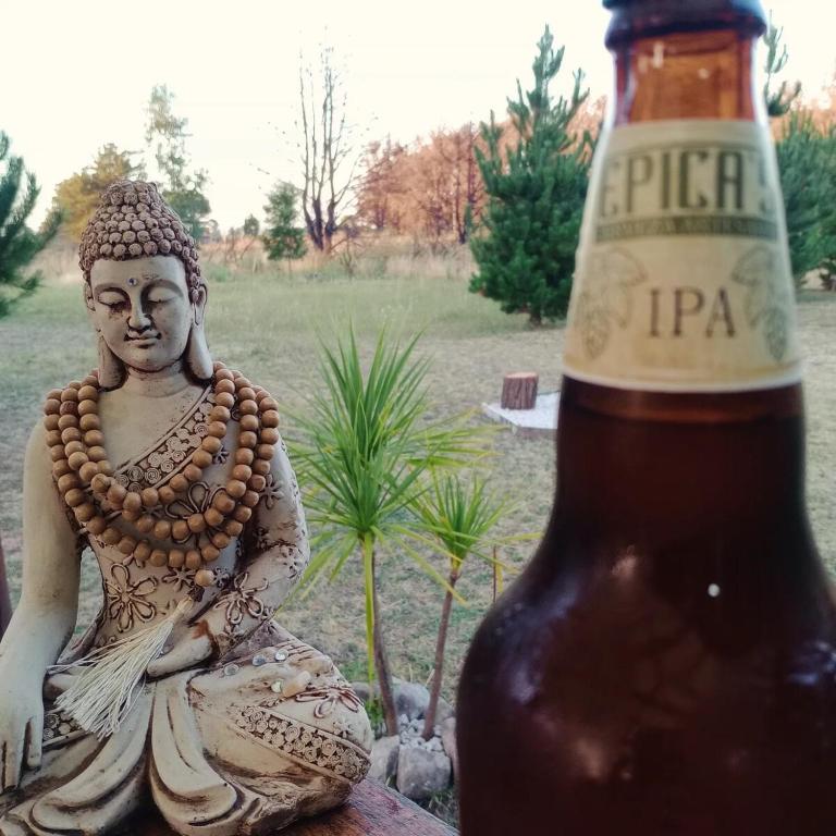 Mini casa entre el bosque y el mar - Casa con 1 dormitorio - 32