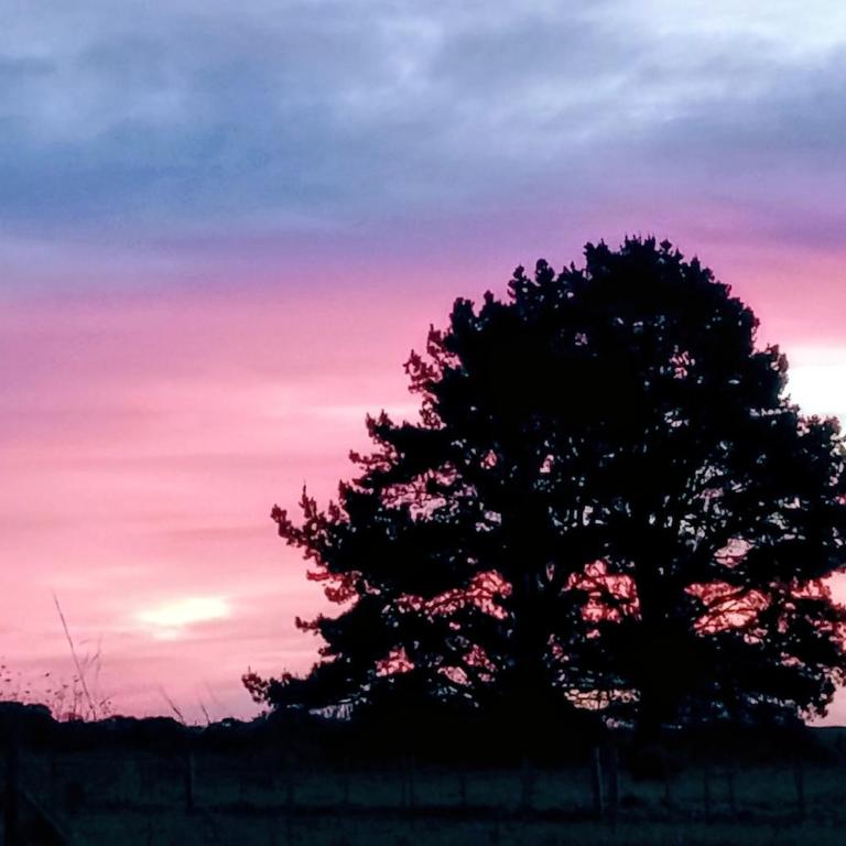 Mini casa entre el bosque y el mar - Casa con 1 dormitorio - 72