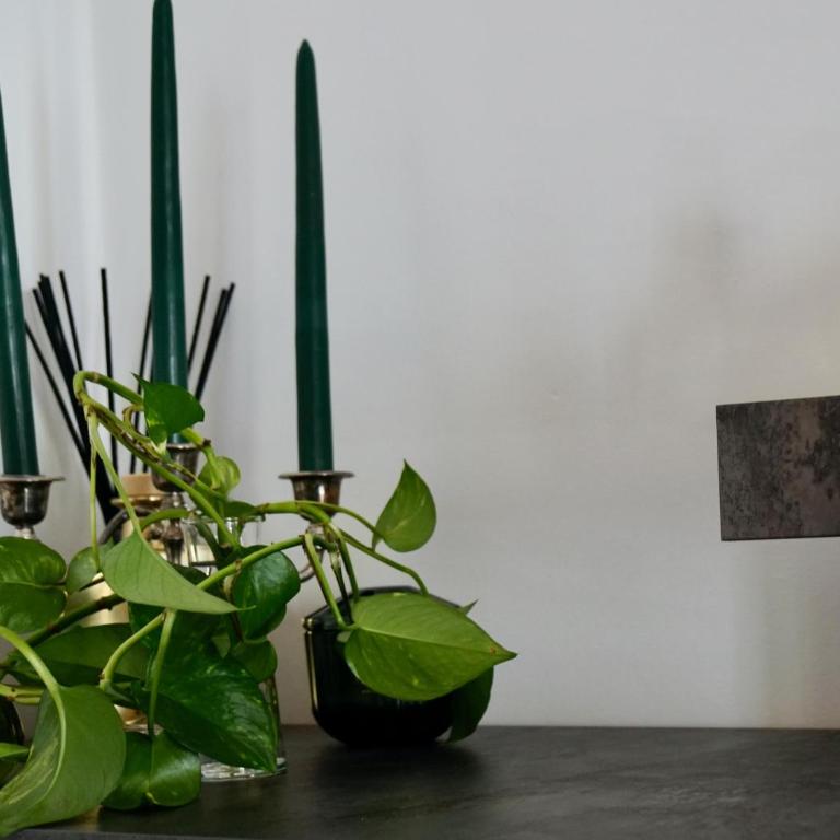 Elegante e silenzioso con box auto - Home San Paolo - Appartamento con 1 Camera da Letto - 20