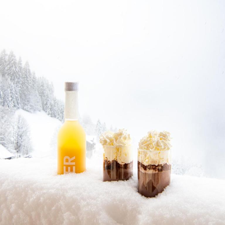 Chalet Silberhorn Penthouse - Penthouse-Apartment - 35