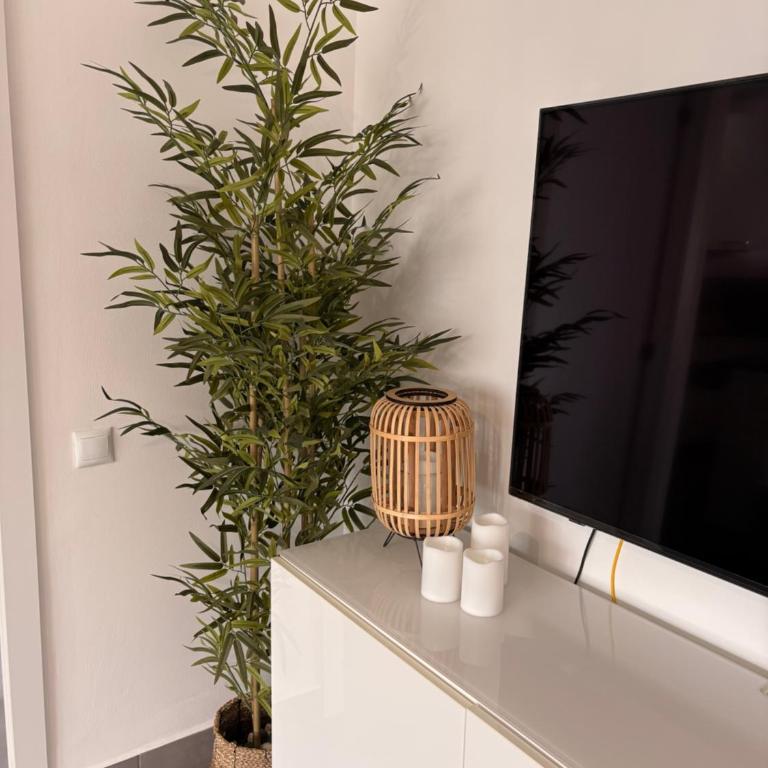 Danubio Canarias 513 - Two-Bedroom Apartment - 41