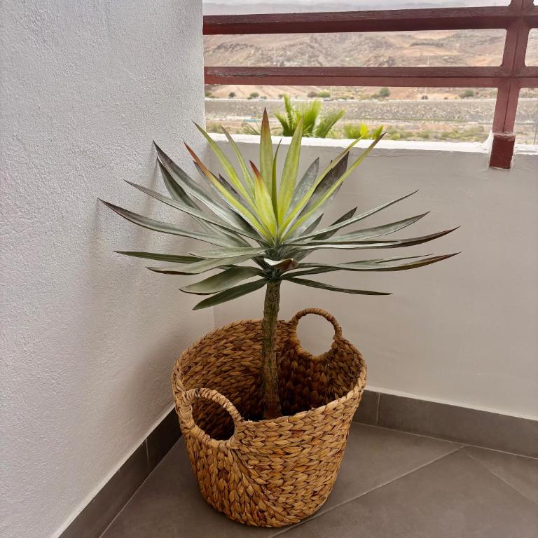 Danubio Canarias 513 - Two-Bedroom Apartment - 56