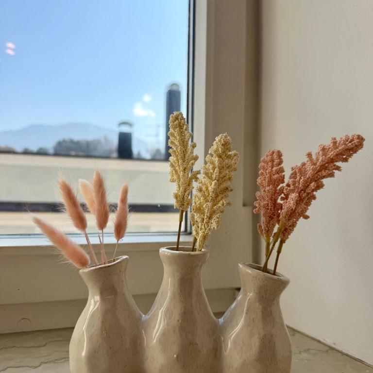 StayNature Bergsteiger APP - 2 BR - Modern, Ruhig, Zentral - Apartment mit 2 Schlafzimmern - 13