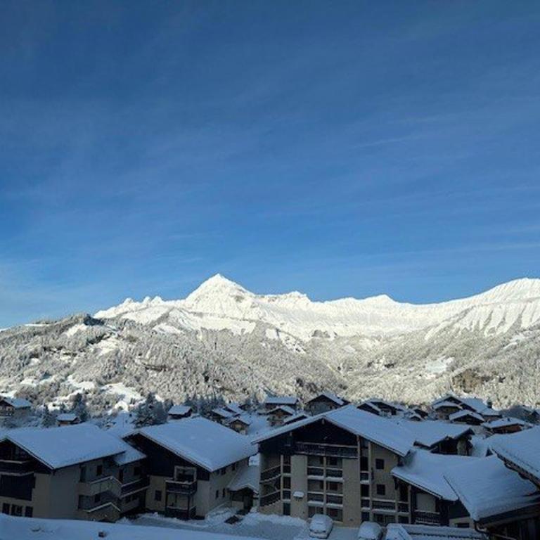 Confortable chalet 12 personnes avec WiFi et parking, près des pistes - Chalet mit 3 Schlafzimmern - 25