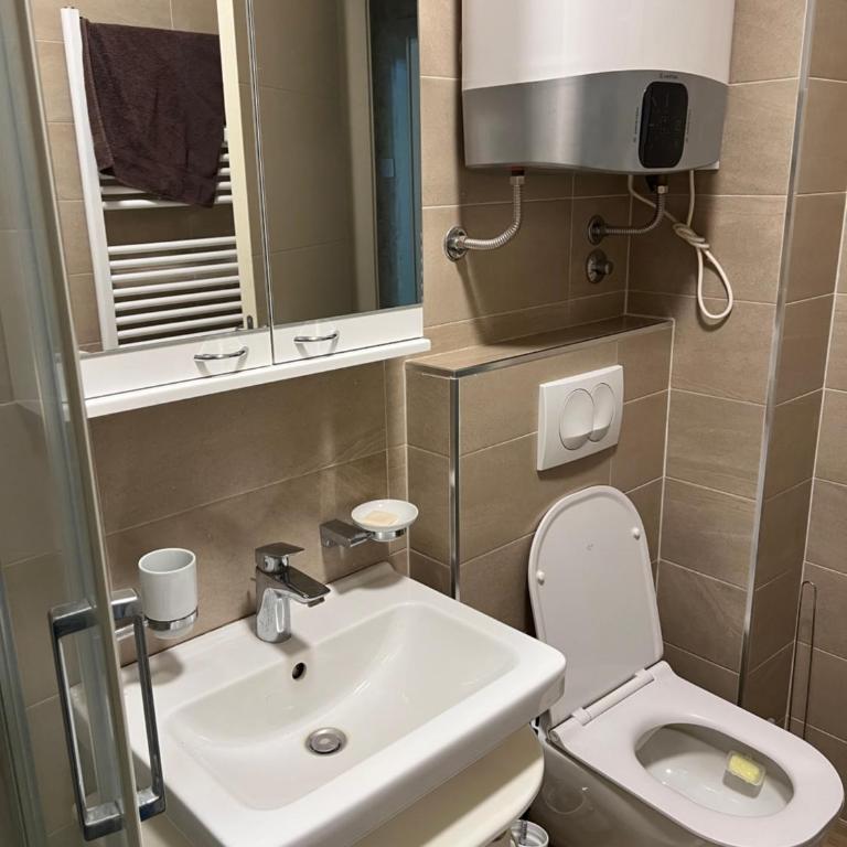 Apartman Centar Subotica - One-Bedroom Apartment - 2