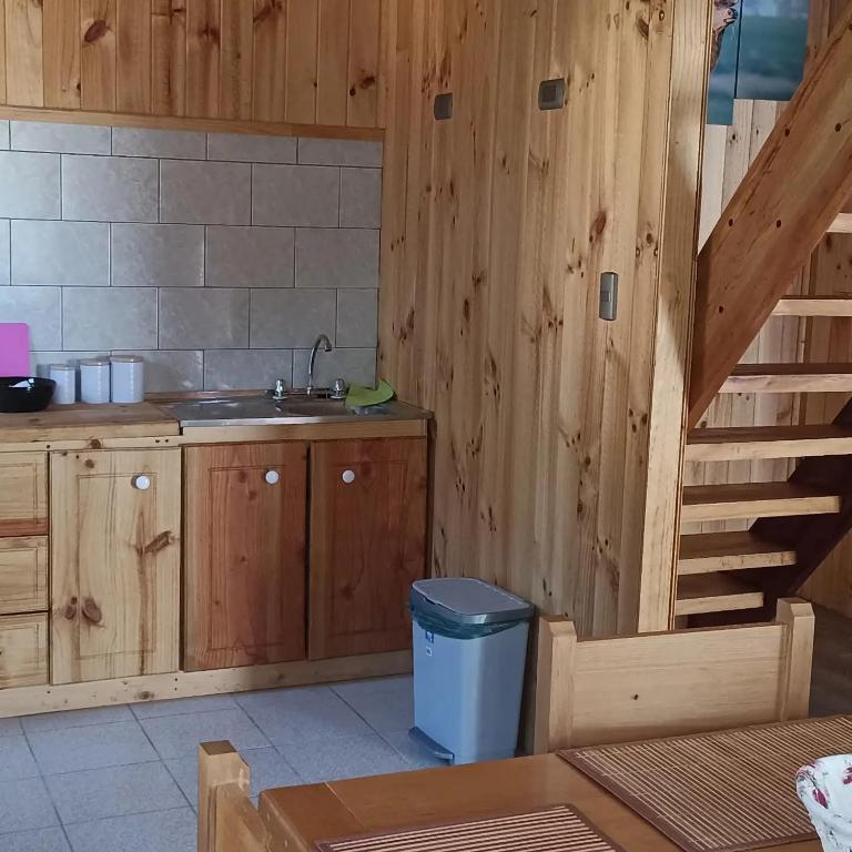 Cabañas caiquen La Junta 2 - Apartamento de 1 dormitorio - 2