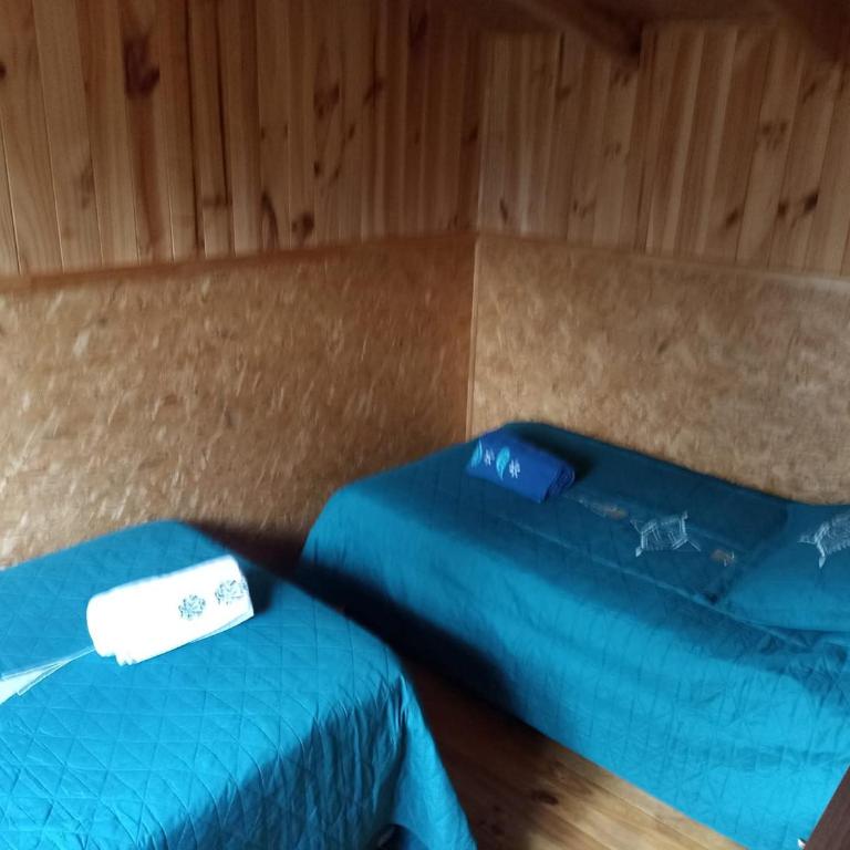 Cabañas caiquen La Junta 2 - Apartamento de 1 dormitorio - 5