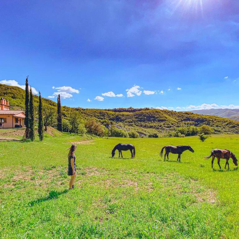 Ca' dei Lanari, Paradiso Allori - 10 min da Assisi - Appartamento con 2 Camere da Letto - 16
