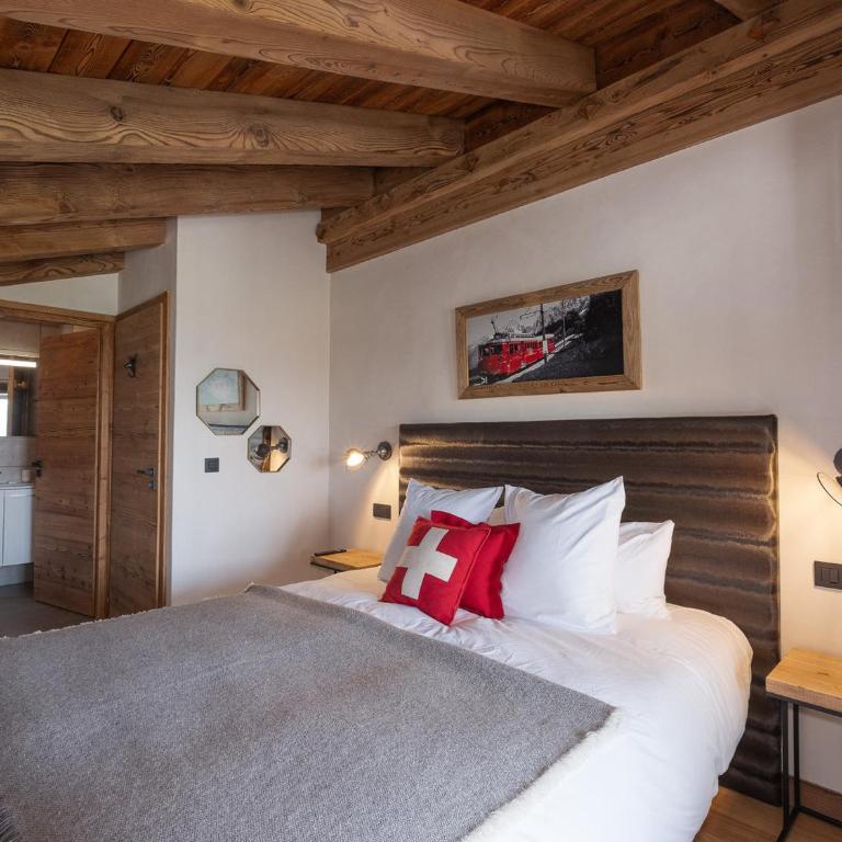 Appartement de luxe avec sauna et jacuzzi aux Saisies - Apartment mit 4 Schlafzimmern - 5
