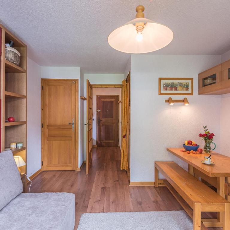 Studio lumineux proche des pistes, animaux admis - FR-1-517-32 - Studio - 6