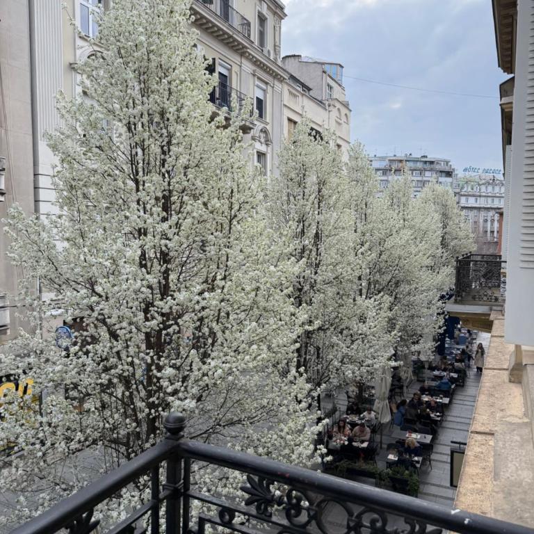 Lella Apartment - Pedestrian zone & Charming balcony - Apartment with Terrace - 1