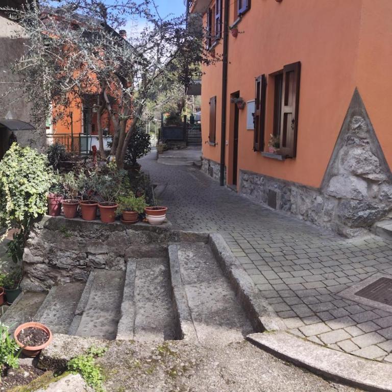The Magnolia House garden relax - Casa con 2 Camere da Letto - 67