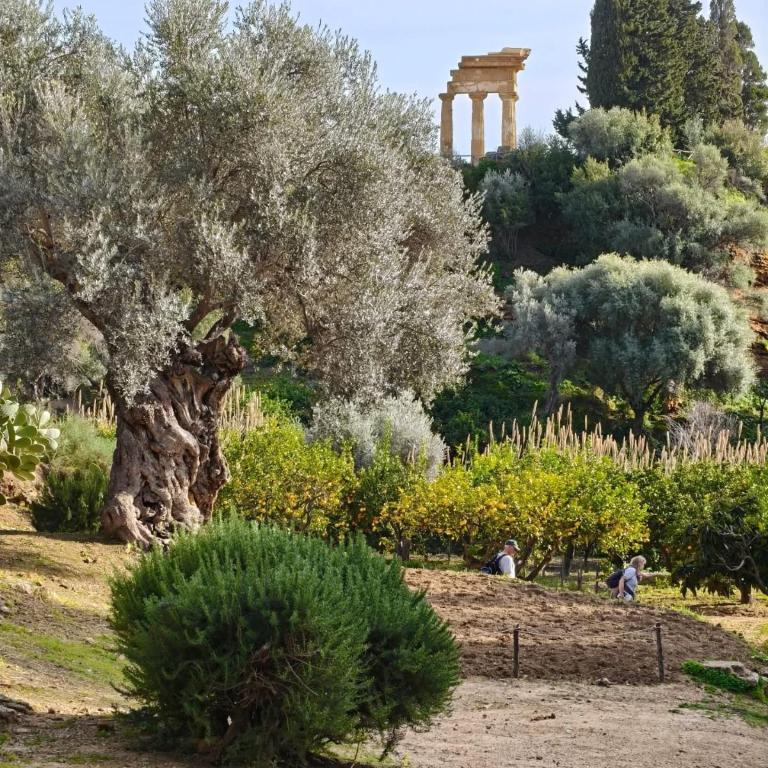 Mediterranea Apartment - Appartamento con 2 Camere da Letto - 25