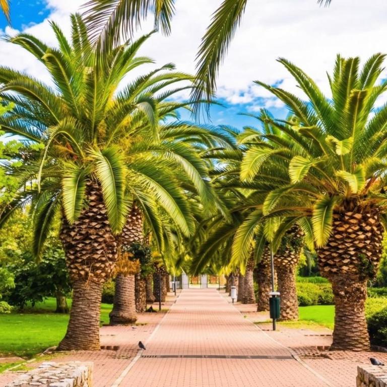 Benalbeach Luxe suite Garden & Sea Oasis501-1 - Apartamento de 1 dormitorio - 51