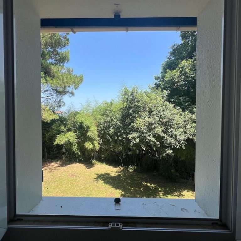 T2 calme, lumineux, entre océan et forêt - Apartment mit 1 Schlafzimmer und Balkon - 5