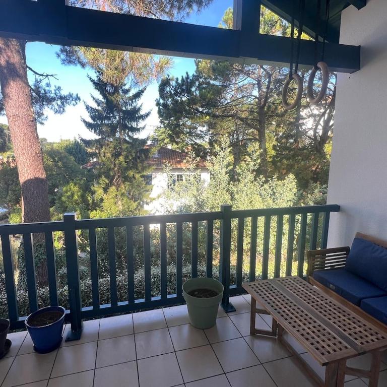 T2 calme, lumineux, entre océan et forêt - Apartment mit 1 Schlafzimmer und Balkon - 8