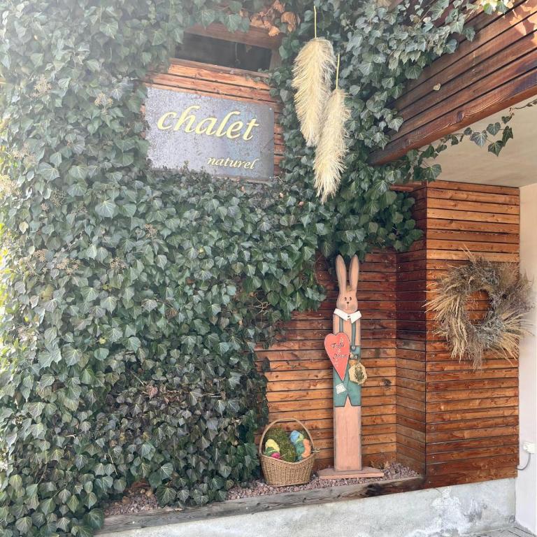 Apart-Chalet Talblick - Chalet 1 Chambre - 7
