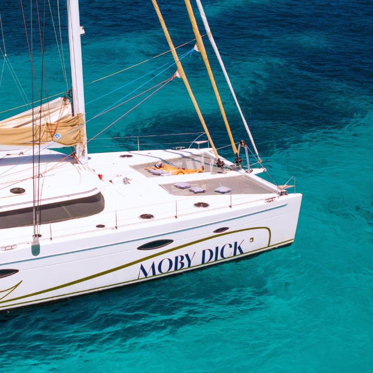Catamaran Mobydick - Cabine Familiale dans un Bateau - 1