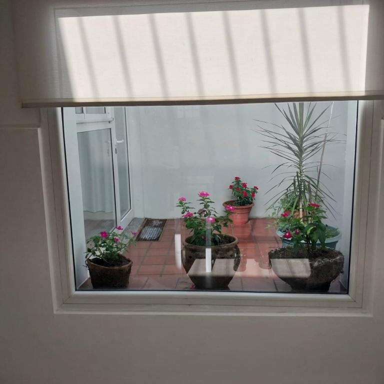 La Ñata Apart - Apartamento de 1 dormitorio - 11