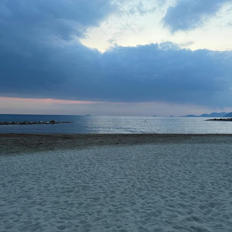 Intero appartamento vicino al mare e Forte dei Marmi, relax, spazio e posizione top - Apartamento de 2 dormitorios con vistas al jardín - 17