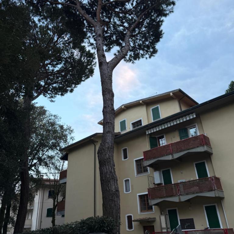 Intero appartamento vicino al mare e Forte dei Marmi, relax, spazio e posizione top - Apartamento de 2 dormitorios con vistas al jardín - 46