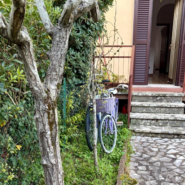 Casa Guadetto - Appartamento con 2 Camere da Letto - 20