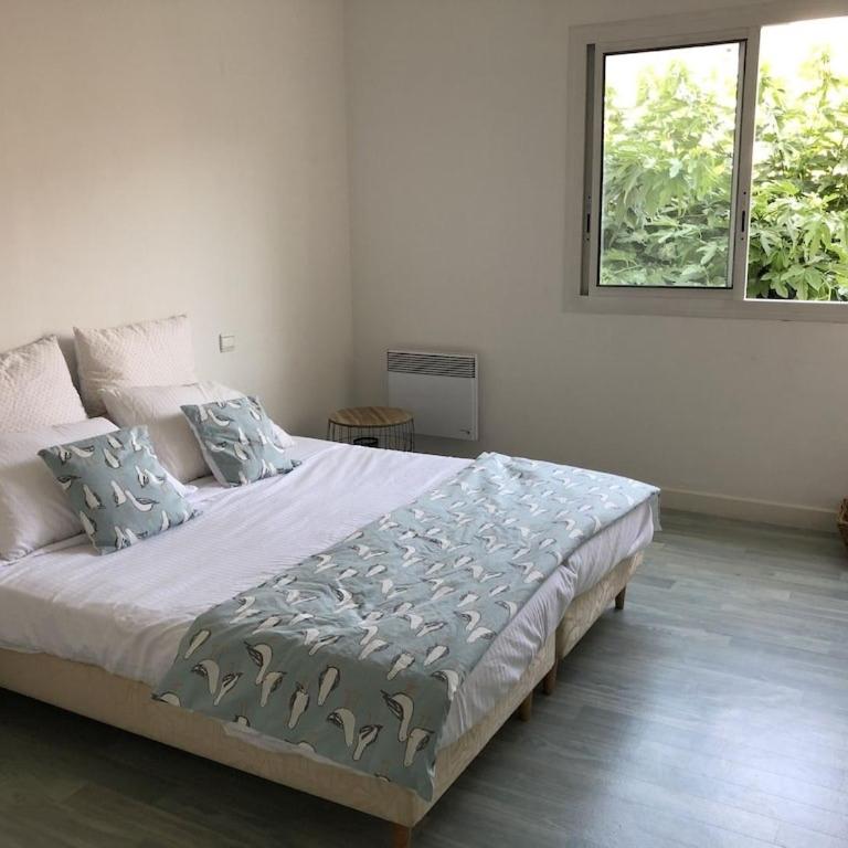 Appartement Arcachon - Appartamento con 2 Camere da Letto - 1