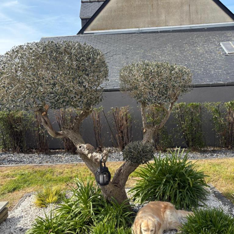 La Maison du Marais - Villa - 9