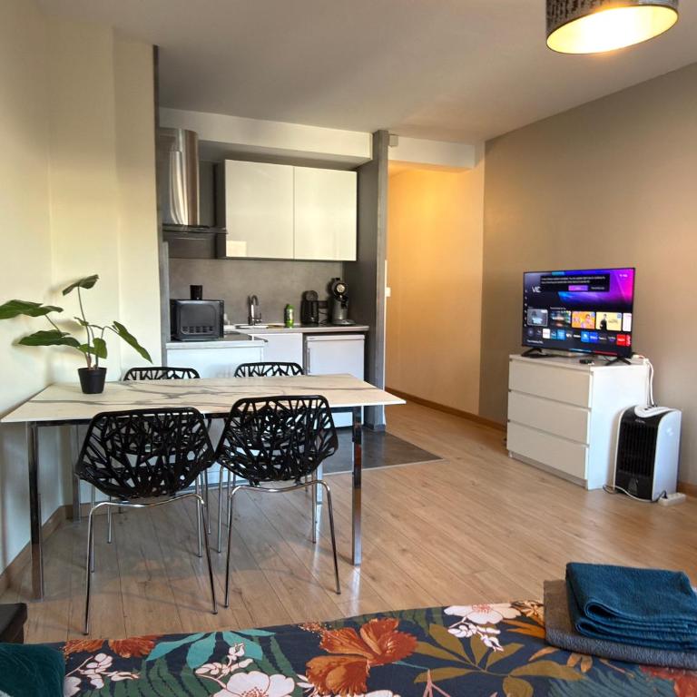 GRAND STUDIO proche du centre ville - Appartamento con 1 Camera da Letto - 4